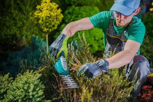 landscaping services Haskins